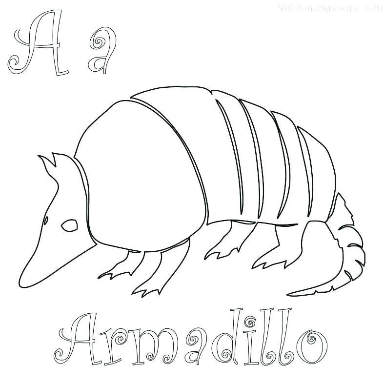 787x787 Rodeo Coloring Pages Armadillo Coloring Page Armadillo Coloring
