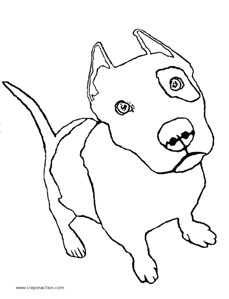 736x959 Bull Coloring Page
