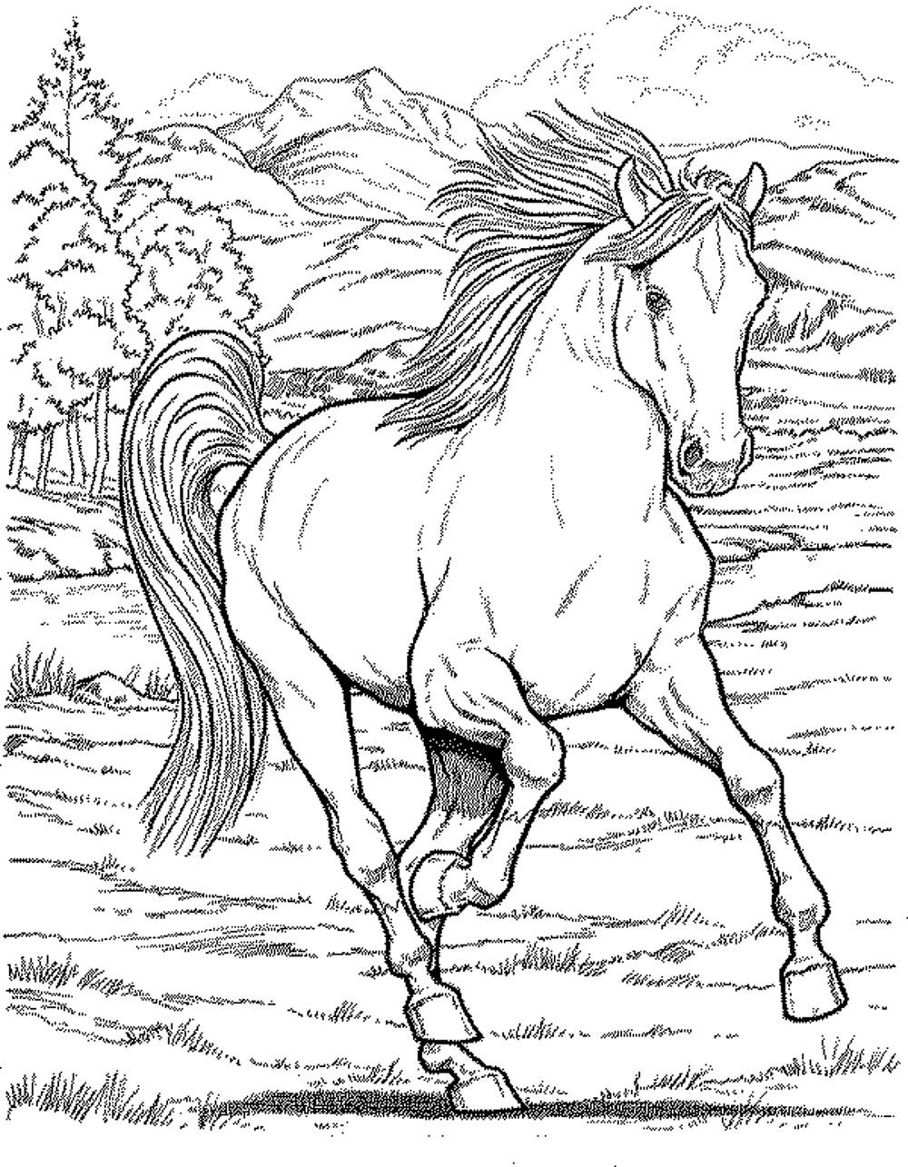 1000x1285 Coloring Pages For Adults Horses Best Of Realistic Horse In Idea
