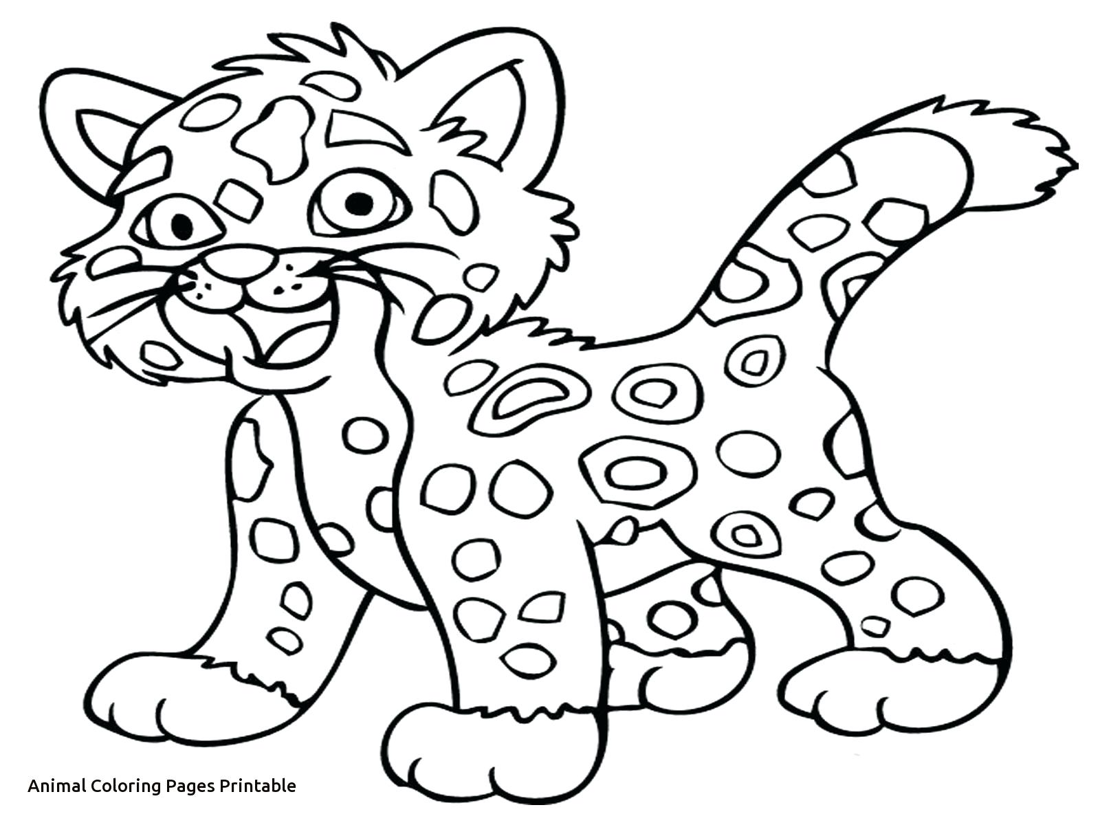 1600x1200 Contemporary Badger Coloring Page Elaboration