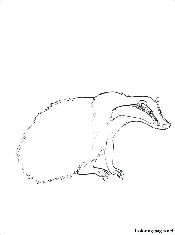 560x750 Badger Coloring Page Honey Badger Coloring Pages