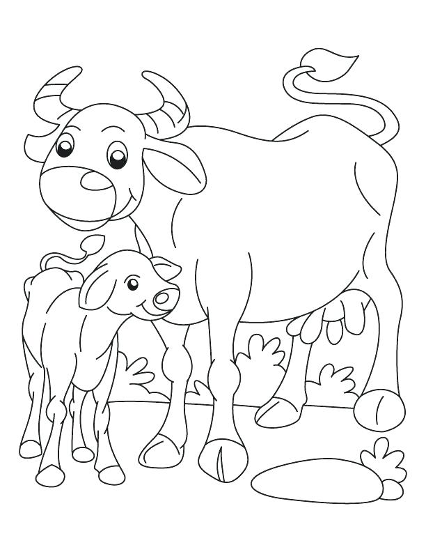 612x792 Buffalo Coloring Page Buffalo Coloring Page Buffalo And Calf