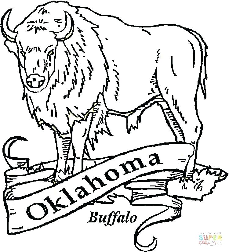 750x826 Buffalo Coloring Page Buffalo Coloring Page Click The Buffalo