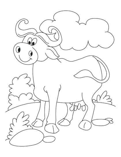 420x543 Buffalo Coloring Page Buffalo Coloring Pages Printable Gallery