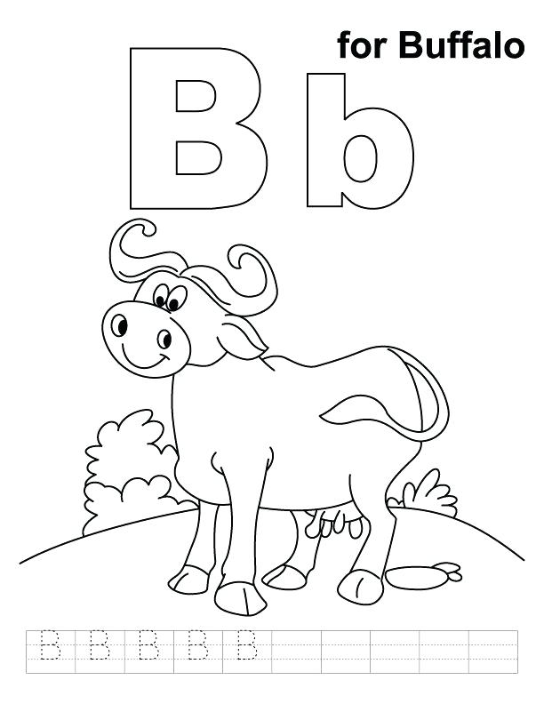 612x792 Buffalo Coloring Pages Buffalo Coloring Page Buffalo Coloring