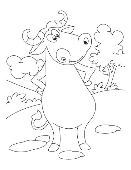 420x543 Buffalo Coloring Page Buffalo Coloring Page Stock Here Are Buffalo