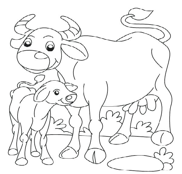 600x574 Buffalo Coloring Page Buffalo Coloring Pages Coloring Pages