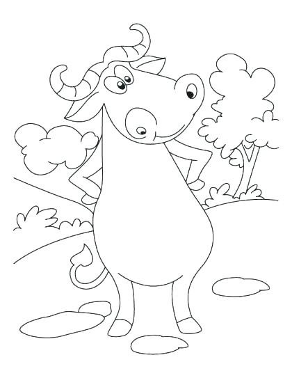 420x543 Buffalo Coloring Page Buffalo Coloring Pages Here Are Buffalo