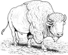 235x190 Tool Coloring Pages