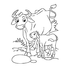 230x230 Top Free Printable Buffalo Coloring Pages Online
