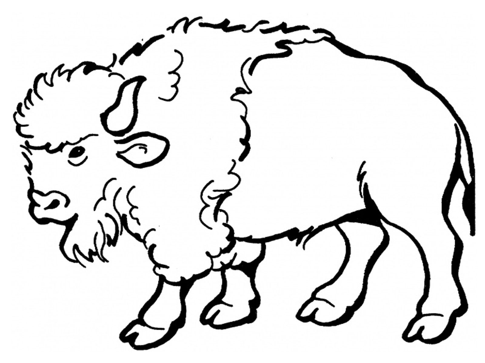 1600x1200 Buffalo Coloring Page Bison Pages Printable Jameson