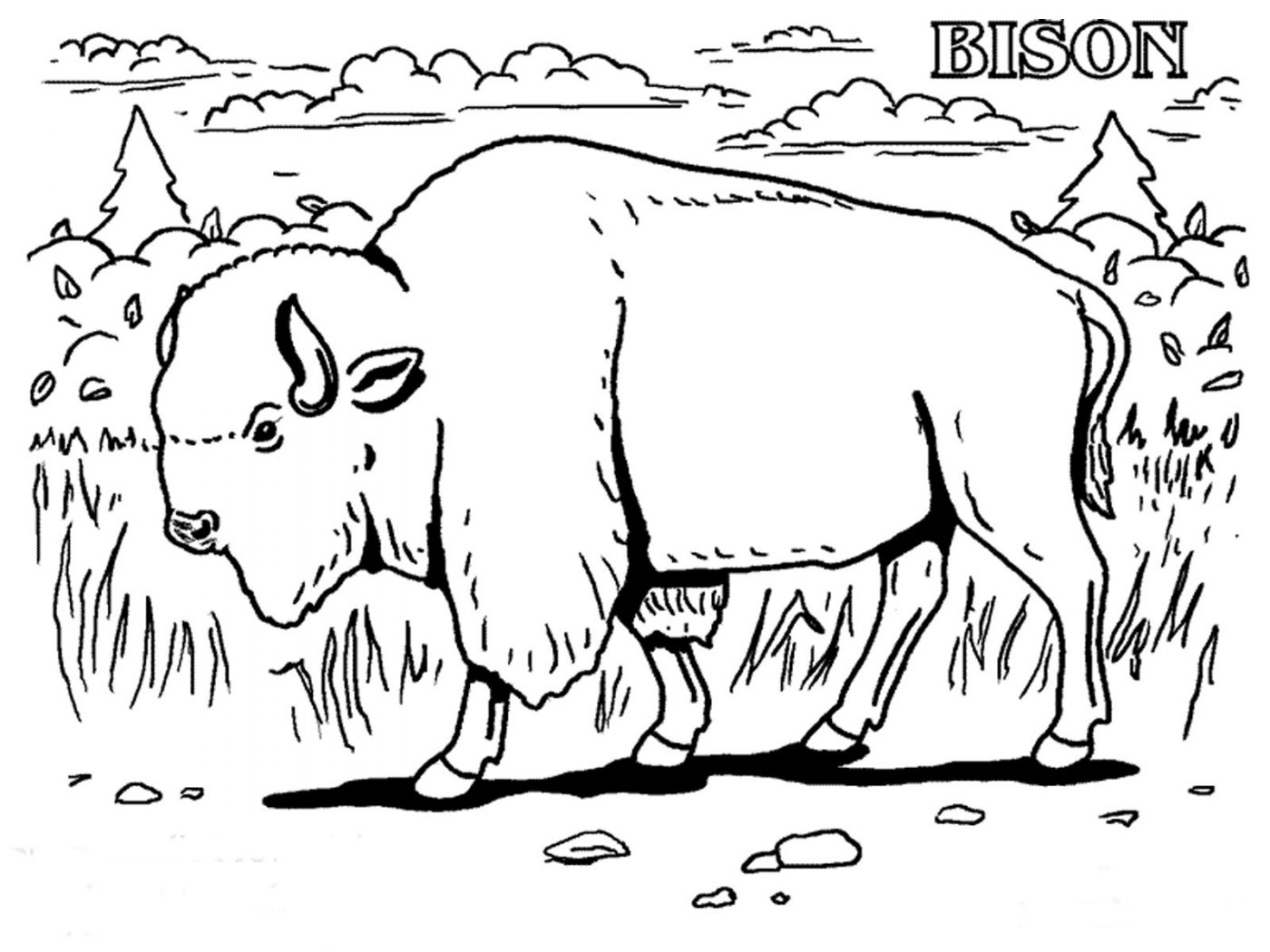 1400x1050 African Buffalo Clipart Coloring Page Pencil And In Print Pages