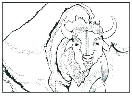 425x309 Bison Coloring Page Bruins Coloring Pages Bruins Logo Coloring