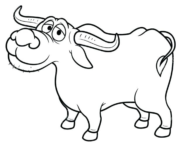618x502 Buffalo Bills Coloring Pages Extraordinary Buffalo Coloring Page