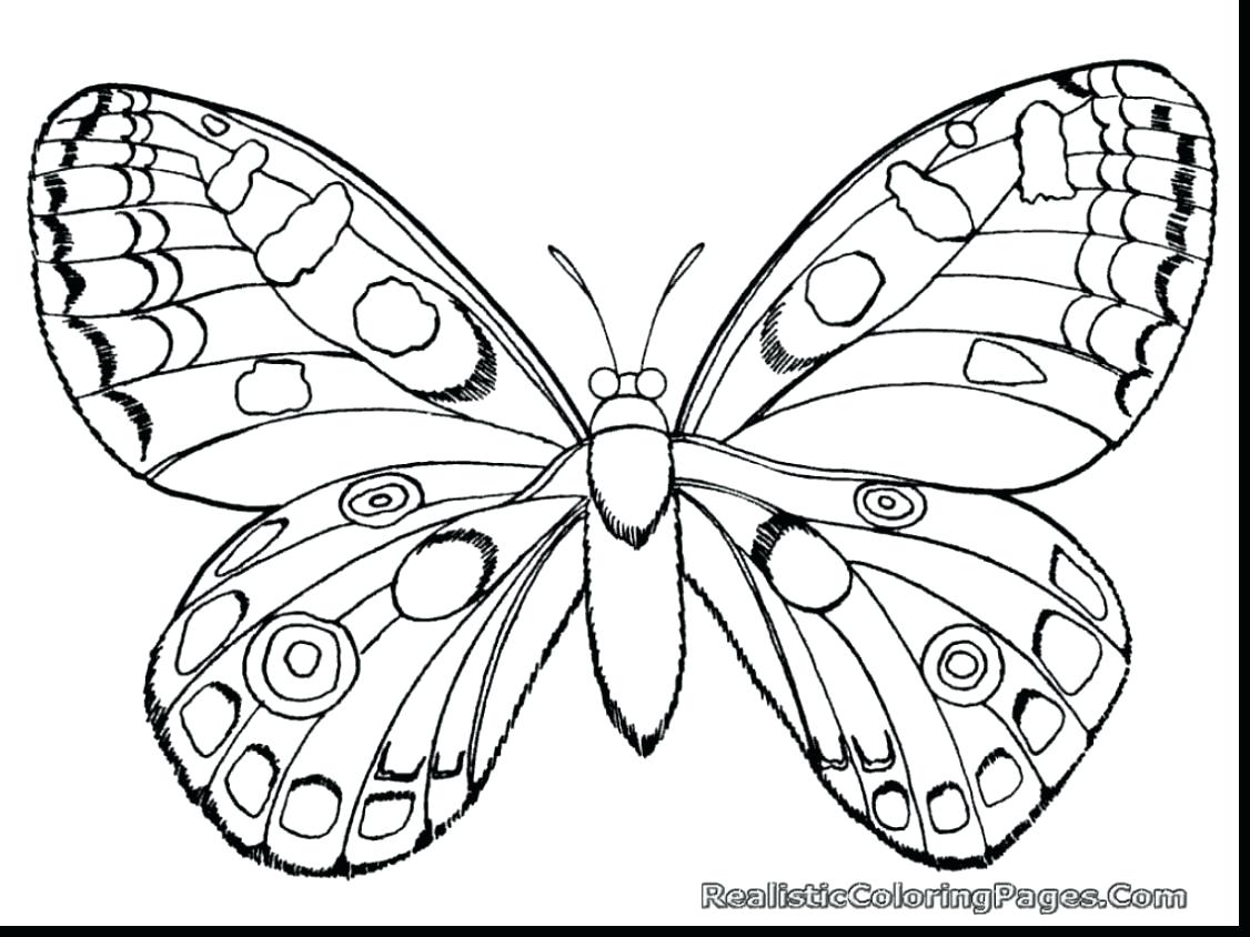 1126x844 Free Printable Vw Bug Coloring Pages Insect For Kids New Cute