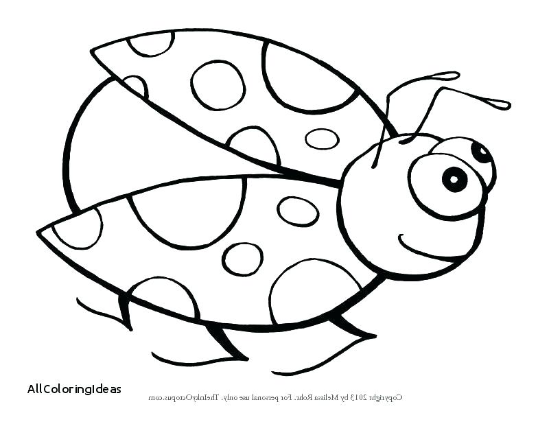 800x618 Lady Bug Coloring Pages Lady Bug Coloring Page Lovable Ladybug