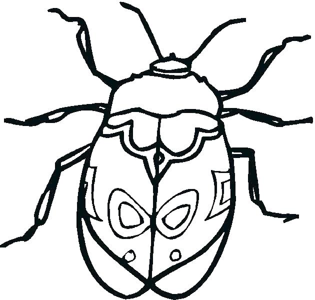 630x600 Bug Coloring Page Insect Coloring Page Free Printable Insect