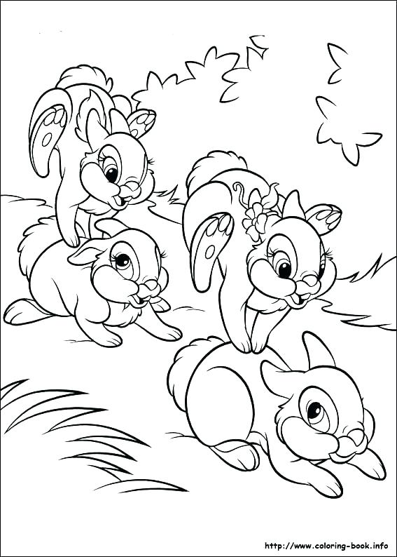 567x794 Bunny Color Pages Rabbit Coloring Pages As Well As Coloring Print