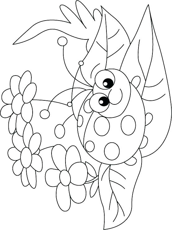 554x740 Insect Coloring Pages Bugs And Insects Coloring Pages Printable