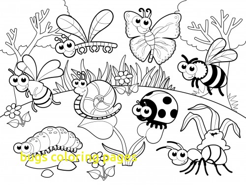 500x375 Bugs Coloring Pages Preschool Archives