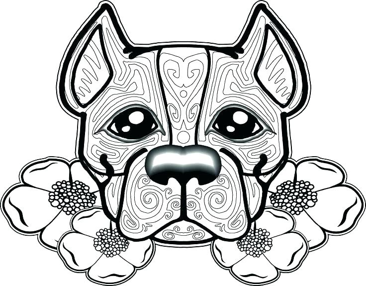 736x575 Bull Coloring Page Coloring Pages Pin Pit Bull Coloring Page