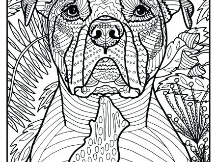 440x330 Bull Coloring Page Free Printable Pit Bull Terrier Coloring Page