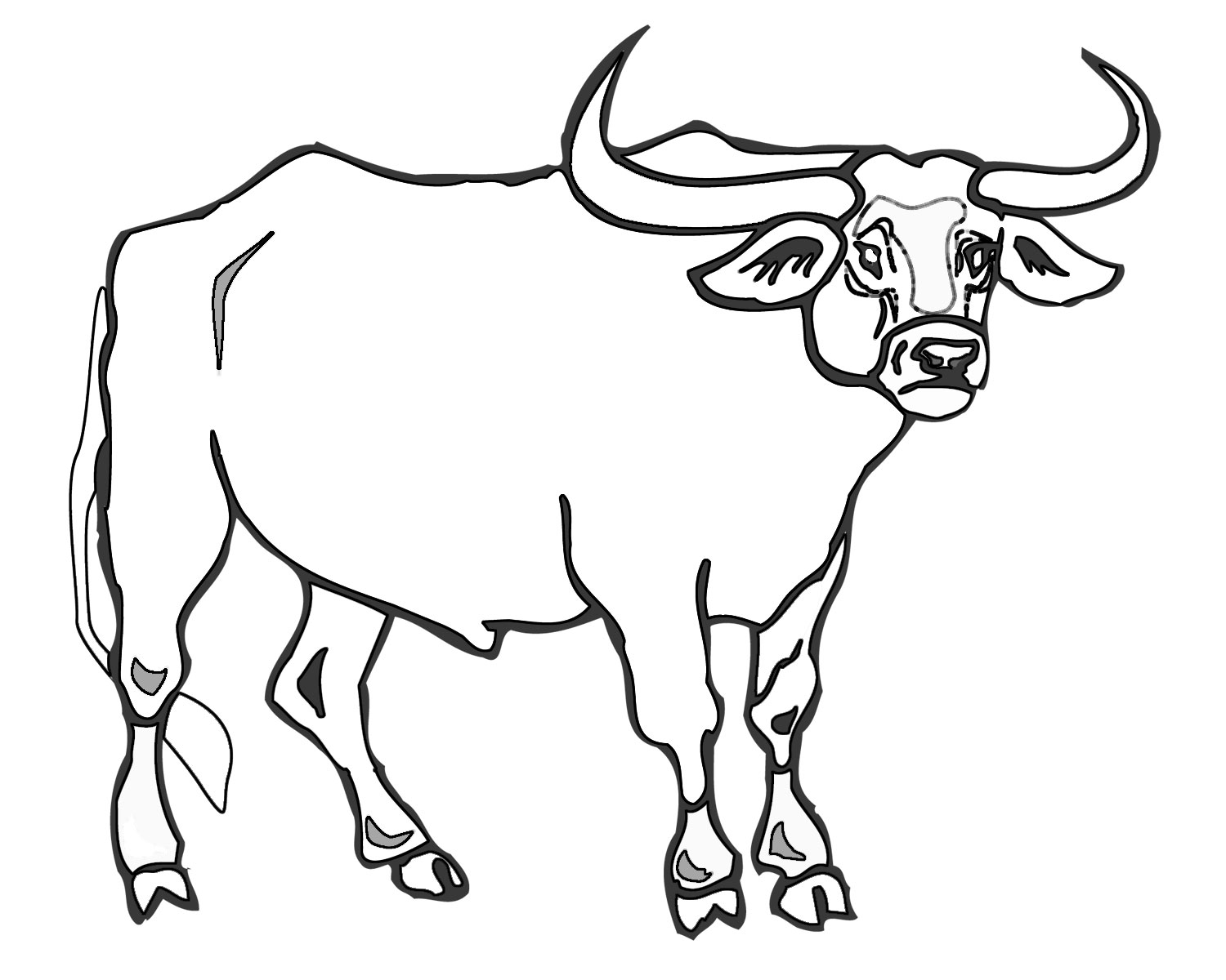 1500x1200 Bull Coloring Pages