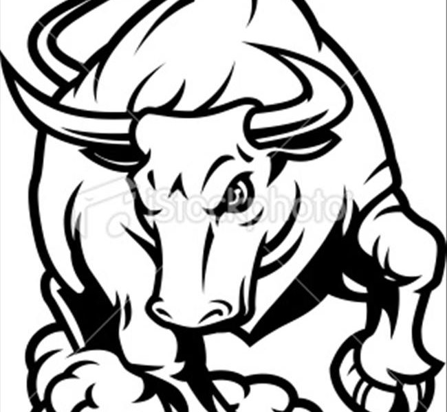 650x600 Bull Coloring Pages
