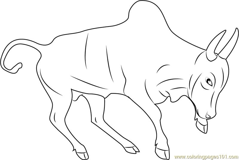 799x536 Bull Coloring Pages Collections Free Coloring Pages