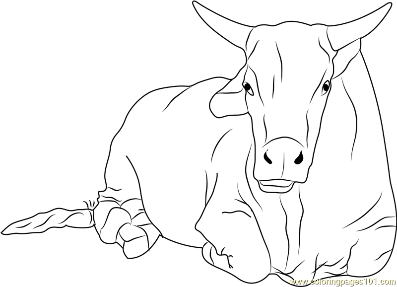 800x578 Sitting Bull Coloring Page