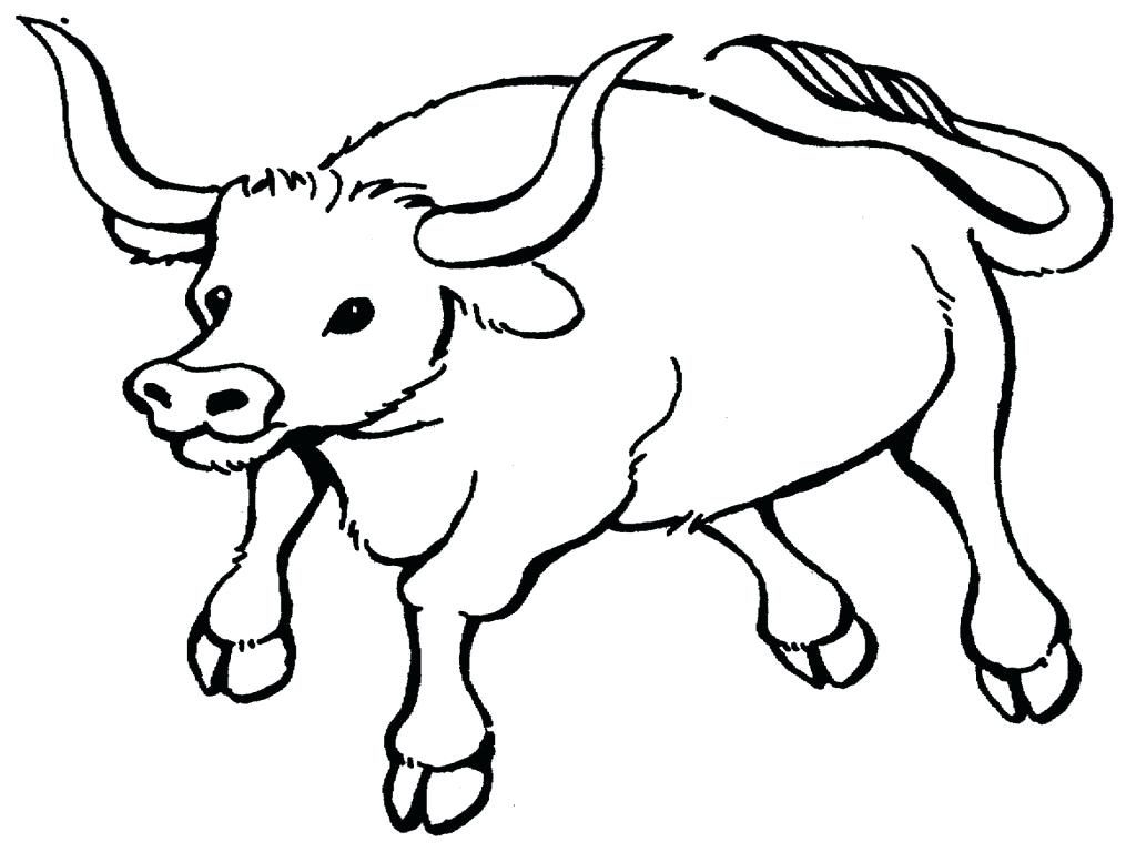 1024x768 Coloring Page Chicago Bulls Coloring Pages Bull Printable