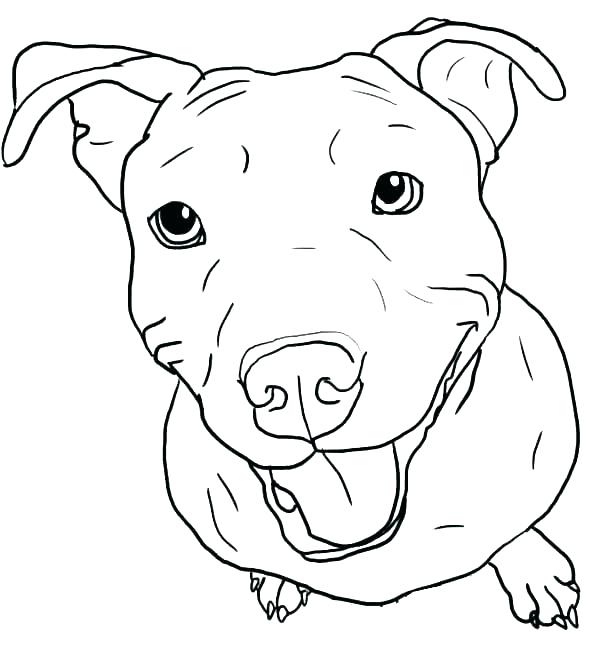 600x668 French Bulldog Coloring Pages