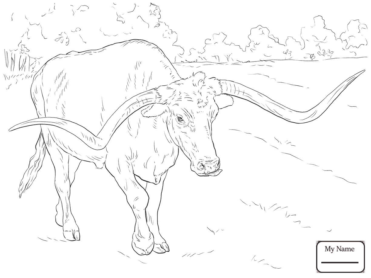 1224x918 Bucking Bull Coloring Pages