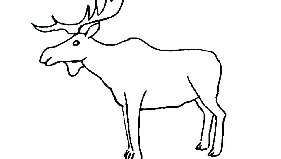 960x544 Elk Coloring Pages Bull Moose Coloring Page Free Printable Pages
