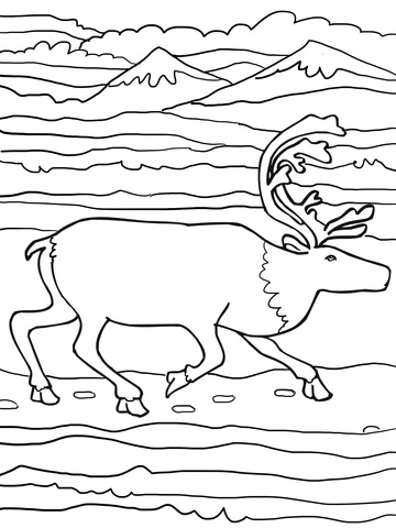 360x480 Running Elk Images Coloring Page