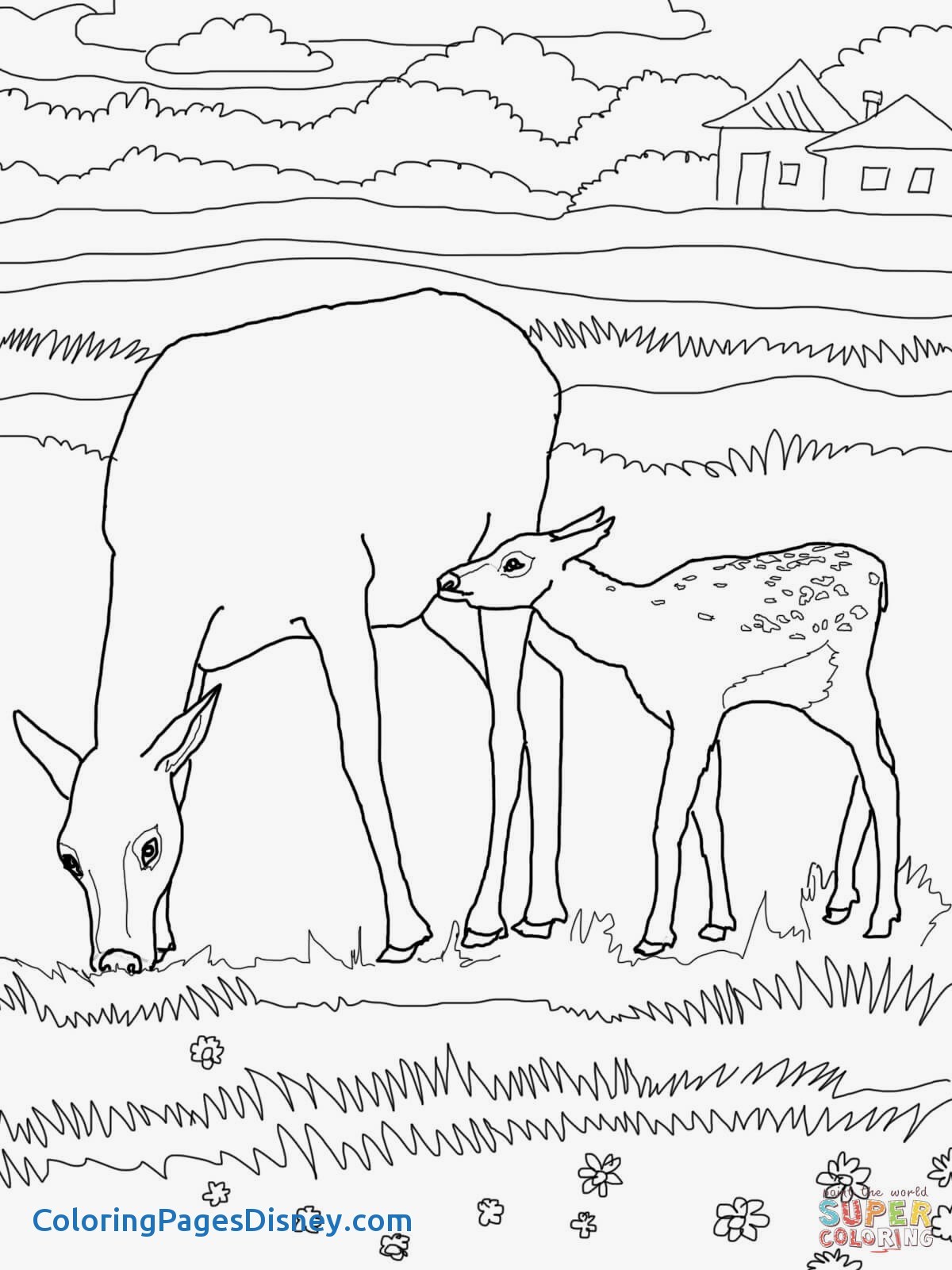 1200x1600 Wapiti Coloring Pages Unique Mother And Baby Elk Coloring Page
