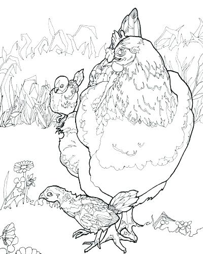 400x500 Bull Riding Coloring Pages Medium Size Of Rodeo Coloring Pages