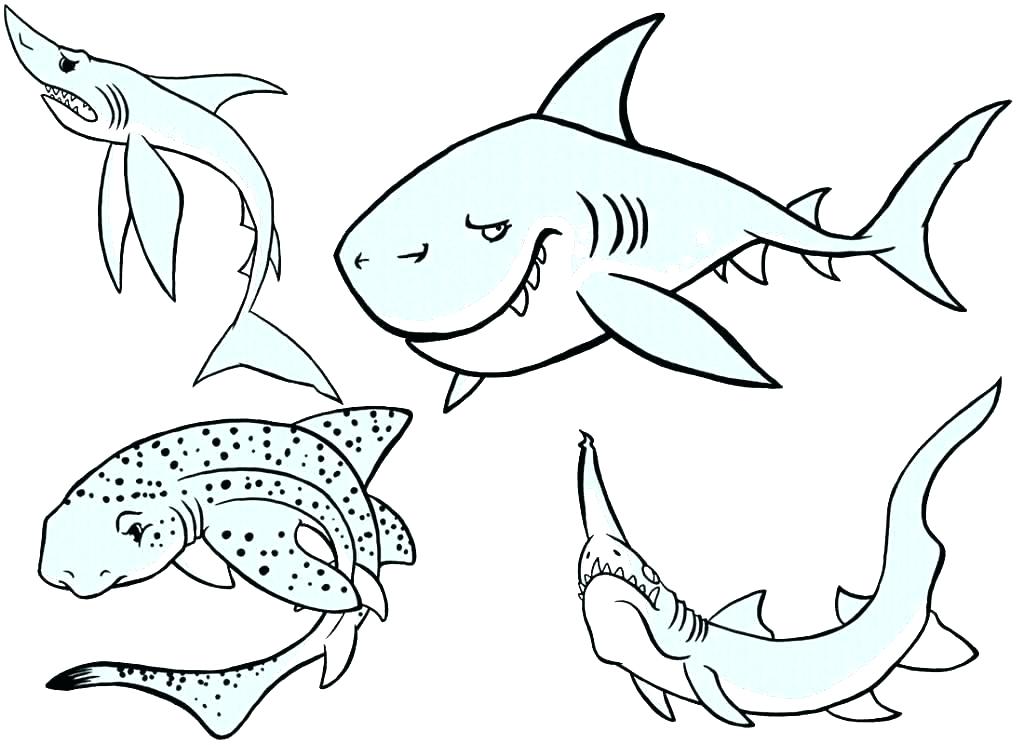 1024x745 Coloring Pages Shark Shark Coloring Pages Printable Shark Coloring