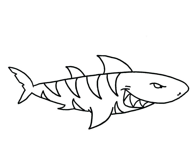 Bull Shark Coloring Page at GetDrawings | Free download