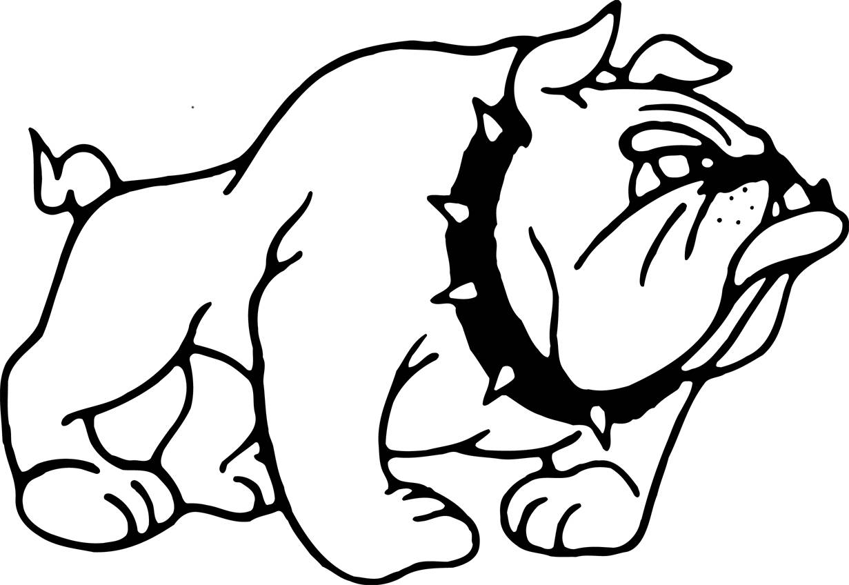 1231x848 Great Bulldog Coloring Pages With Additional Free Colouring