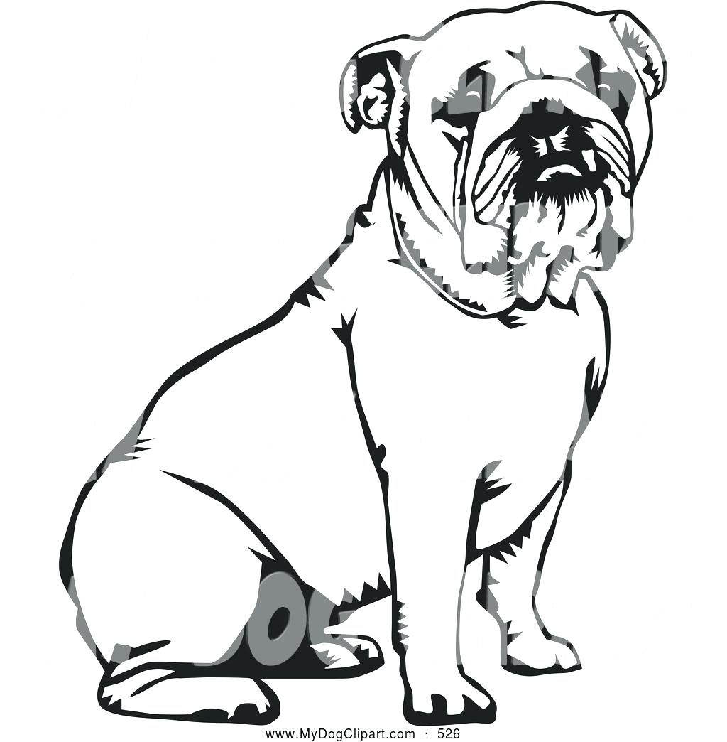 1024x1044 Coloring Pages Bulldog Coloring Pages English Puppy Bulldog