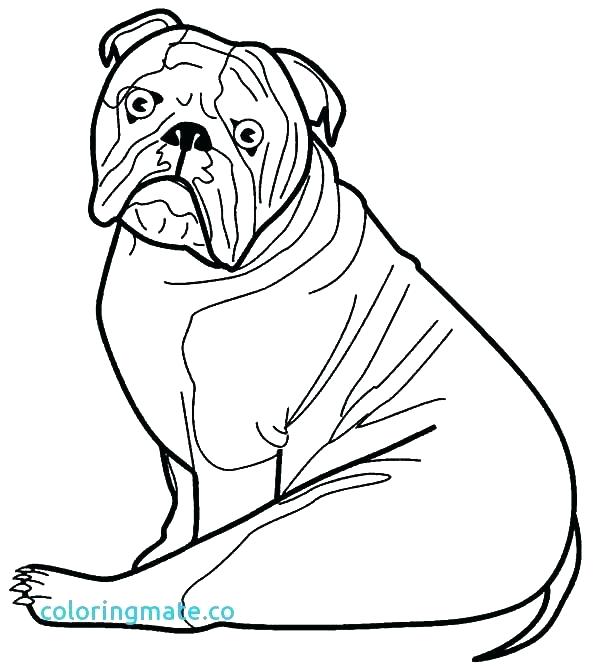 600x668 Bulldog Coloring Pages Printable Bulldog Coloring Pages Go Bulldog