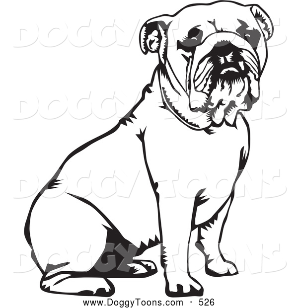 600x620 Bulldog Coloring Pages Printable