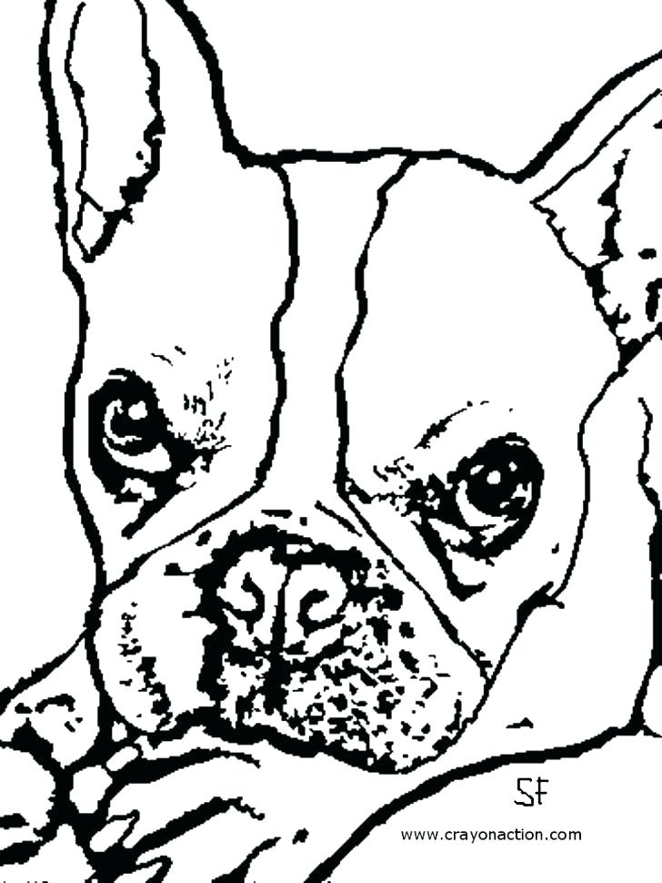 728x970 Georgia Bulldogs Coloring Pages Bulldogs Coloring Pages
