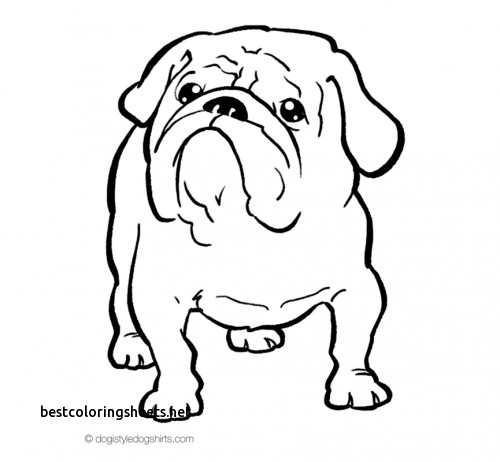 500x462 Inspirational Bulldogs Coloring Pages To Print Best Coloring Pages