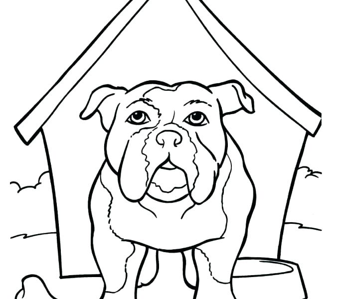 678x600 Bulldog Coloring Page French Bulldog Coloring Pages Picture French
