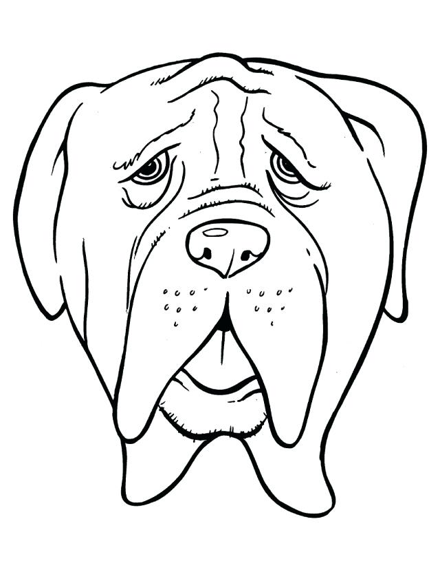 640x828 Bulldog Coloring Page Head Bulldog With Old Age Coloring Page