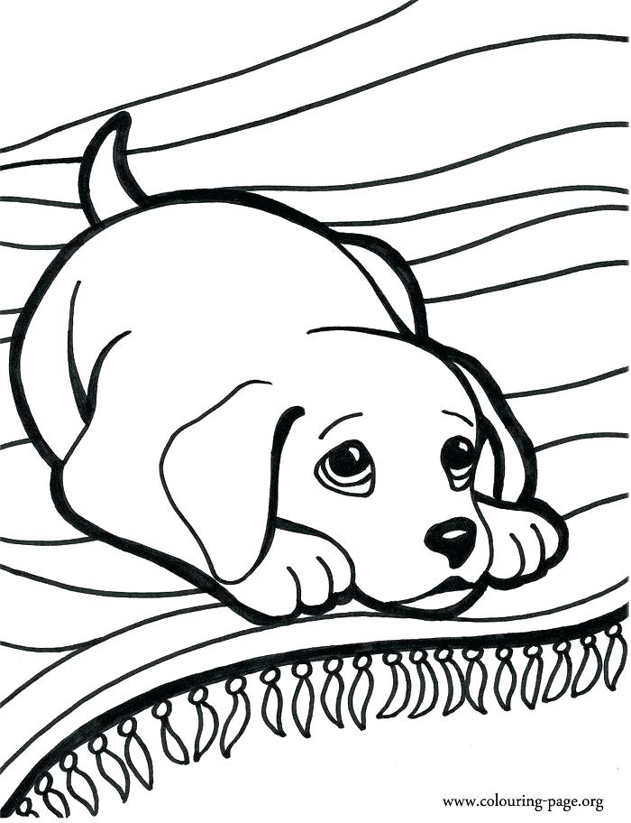 700x912 Free Dog Coloring Pages Doggy Coloring Pages Best Puppy Coloring