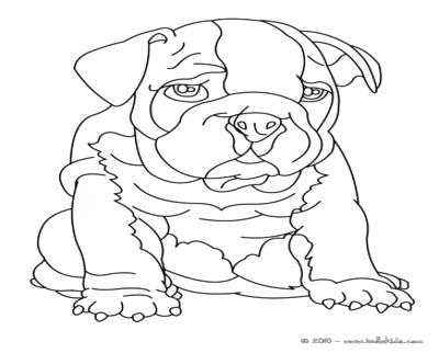 Bulldog Puppy Coloring Pages at GetDrawings | Free download