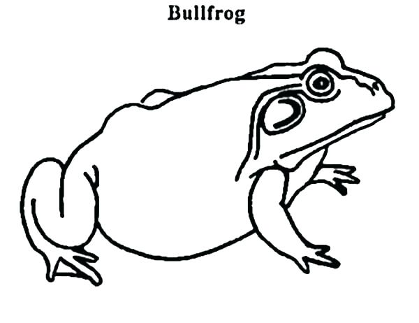 600x462 Bullfrog Coloring Page Frog With Tie Coloring Page Coloring Pages